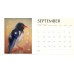 All aflutter 2013 / 2014 Bird Calendar 